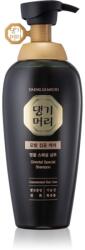 Daeng Gi Meo Ri Oriental Special Shampoo tápláló sampon hajhullás ellen 500 ml