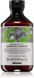 Davines Naturaltech Renewing Shampoo sampon delicat pentru refacerea scalpului 250 ml