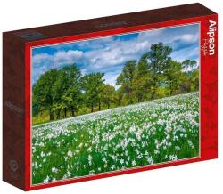 Alipson Puzzle 500 db-os puzzle - Clearing in Bloom (50063) (50063)