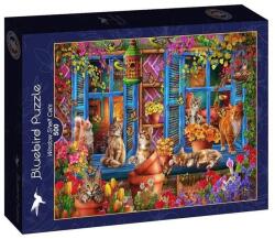 Bluebird Puzzle 500 db-os puzzle - Window Shelf Cats (90972) (90972)