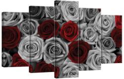 DEGRETS Vászonkép szett DEGRETS 78571, 60 x 100 cm, 5 részes (2x40x20 cm, 2x50x20 cm, 1x60x20 cm) (78571)