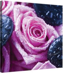 DEGRETS Vászonkép DEGRETS 78158, 80x80cm (78158)