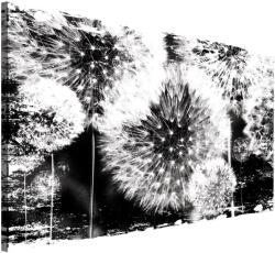 DEGRETS Vászonkép DEGRETS 78229, 40x60cm (78229)