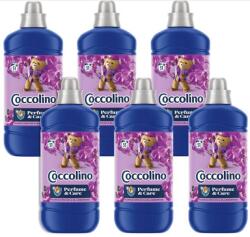 Coccolino Purple Orchid&Blueberries öblítőkoncentrátum, 6x1275ml