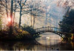  Vászonfestmény festői kilátás a ködös őszről, 80x50cm, vászon422, többszínű (tabloucanvas422/50x80cm)