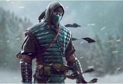 Sub Zero Reboot Poszter, 61x90cm, poster549, Többszínű (poster549-7777777777777786669)