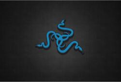  Poszter Razer Inc Logo Sötét, 61x90cm, poszter 1549, Többszínű, (poster1549)
