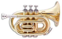 Fontaine FNMT-500L zsebtrombita