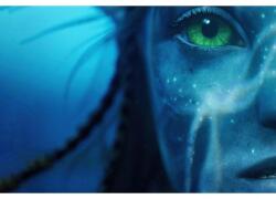  Avatar Poszter The Way Of Water 2, 61x90cm, poster1187, Többszínű (poster1187-7777777777777787223)