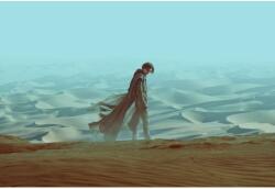  Plakát Dune, 61x90cm, poszter2561, Többszínű (poster2561)