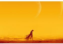  Plakát Dune X Blade Runner, 61x90cm, poszter2504, Többszínű (poster2504)