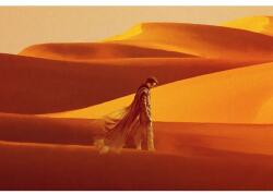  Plakát Dune, 61x90cm, poszter2312, Többszínű (poster2312)