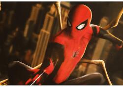  Poszter Spiderman Fan Artwork, 61x90cm, poszter1327, Többszínű (poster1327)