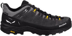 Salewa ALP Trainer 2 Gtx M Onyx/Black Férfi kültéri lábbelik UK 9
