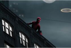  Plakát Spiderman No Way Home, 61x90cm, poszter1737, Többszínű (poster1737)