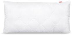 Medicline Hipoallergén párna, Medicline, Mikroszálas, 30x50 cm, Fehér (PODMICPIK30/50POLI)