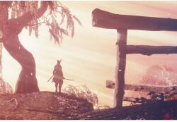  Poszter Sekiro Shadows Die Twice, 61x90cm, poszter2526, Többszínű (poster2526)