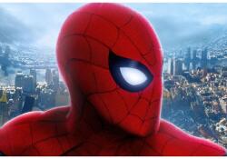  Plakát Spiderman No Way Home, 61x90cm, poszter2285, Többszínű (poster2285)