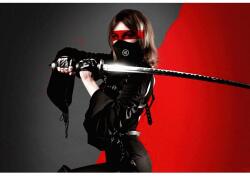  Poszter Ninja Girl With Sword Fekete ruha, 61x90cm, poszter1526, Többszínű (poster1526)