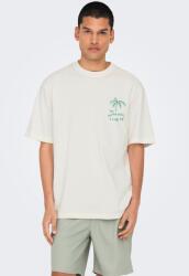 Only & Sons Only & Sons, Organikuspamut póló mintával, Fehér, Zöld, 2XL (22034452-CLOUD-DANCER-DO-NOTHING-CLOUD-XXL)
