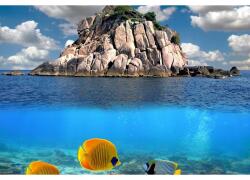  Vászonfestmény Tengeri élet és egzotikus tengerpart, 80x50cm, vászonfestmény1095, Többszínű (tabloucanvas1095/50x80cm)