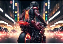  Plakát The Cyberpunk Vigilante, 61x90 cm, poszter2878, többszínű (poster2878)