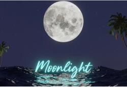  Moonlight Poszter, 61x90cm, poster859, Többszínű (poster859-7777777777777786455)