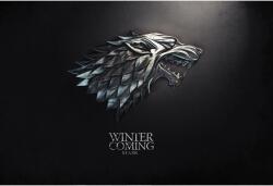  House Stark Poszter, 61x90cm, Többszínű (poster247-7777777777777785574)