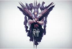  Vászonfestmény 2022 Reaper Overwatch, 80x50cm, festmény 641, Többszínű (tablou641/50x80cm)