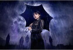  Plakát Szerda 2022, 61x90cm, poszter2035, Többszínű (poster2035)