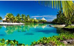 DEGRETS Fotótapéta DEGRETS 83673 Trópikus tengerpart 2, 184x254cm (83673)