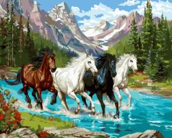 MagicArt Set de pictat după numere MagicArt - Galop în Alpi (GX47560)