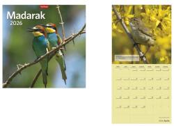 KALENDART 2026 T098 Madarak falinaptár (26T9800-18A) - officedepot