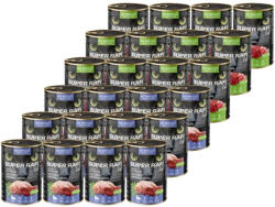 Dolina Noteci NOTECI VALLEY Super Rafi Cat P&F Ízkeverék 24x400g