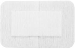 Prima Plasturi Sterili PPSB, 15 cm x 10 cm, Ambalati Individual, Prima, 50 Bucati (VTR-0938-15X10)