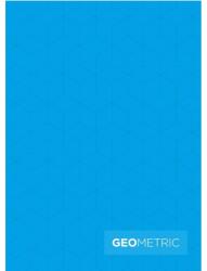 KOH-I-NOOR Caiet A4 Matematica, 42 de File, Geometric, 80 g (KH-U100 500M)