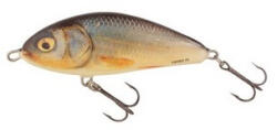 Salmo Wobbler Fatso F10s Rr (e-84550530)