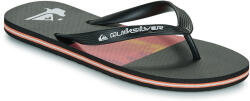 Quiksilver Flip-Flops Bărbați MOLOKAI STRIPE 25 Quiksilver Negru 44