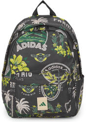 Adidas Rucsacuri Femei Farm Classic Backpack adidas verde Unic