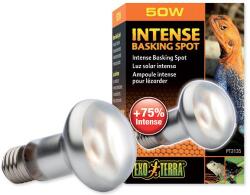 Hagen Exo Terra Exo Terra Intense Basking Spot izzó 50W