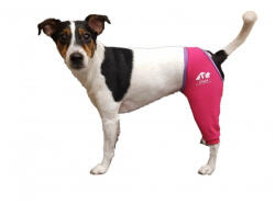 Csinieb műtét utáni lábvédő hátsó lábra