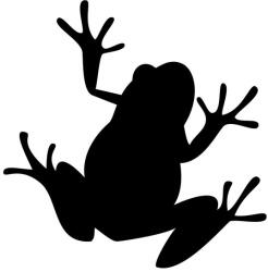 Autós matrica béka a falon