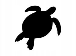  Autós matrica tengeri teknős f 15cm x 14cm