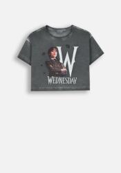 Coccodrillo Póló Lányoknak T-Shirt Szürke 164 Coccodrillo ZC4 (5904986471227)