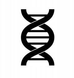 Autós matrica fenék cérna