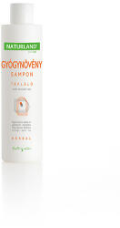  Naturland Herbal 40 Gyógynövényes sampon 200 ml (0220000848)