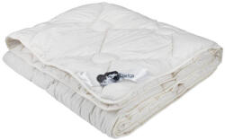 feelings by Billerbeck Flóra átmeneti paplan (pehelyhatású poliészter töltettel), 135x200 cm (720 g)