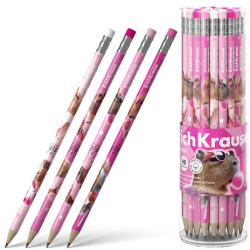 ErichKrause Grafitirón ErichKrause CapyBarbara HB radírral (62771)