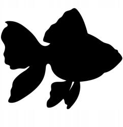  Autós matrica aranyhal 3d 15cm x 12cm