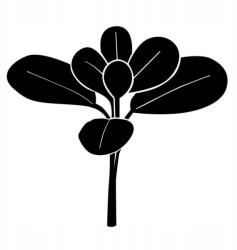  Autós matrica virág levelek